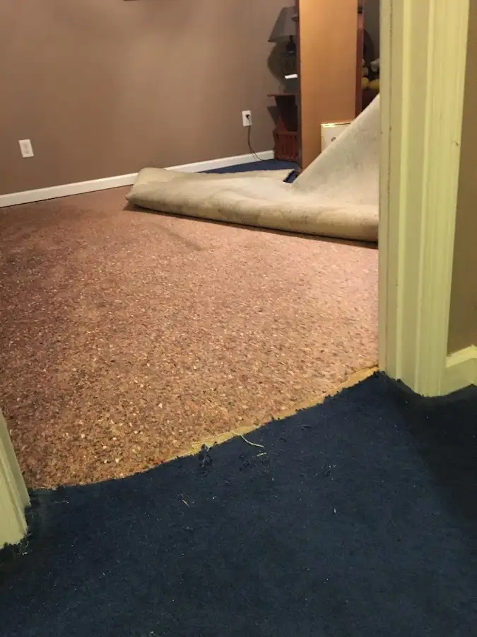 Carpet pad removal revealing water damage during Drying & Dehumidification in Lincolnwood