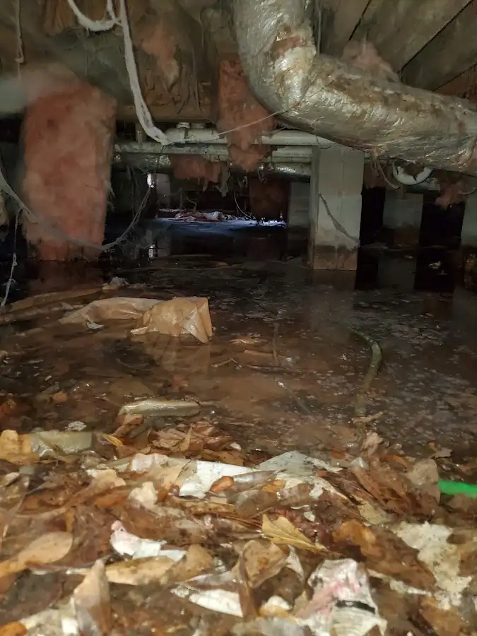 Crawl space flood assessment for Leak Detection & Repair in Lincolnwood