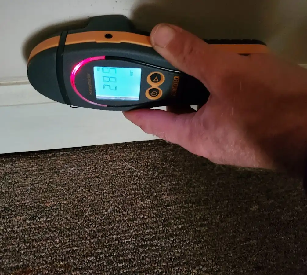 Moisture detection at baseboard during Sewage Cleanup & Sanitation in Lincolnwood